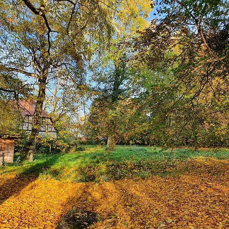 Neu Pfarrhof In Ostseenähe Drechow