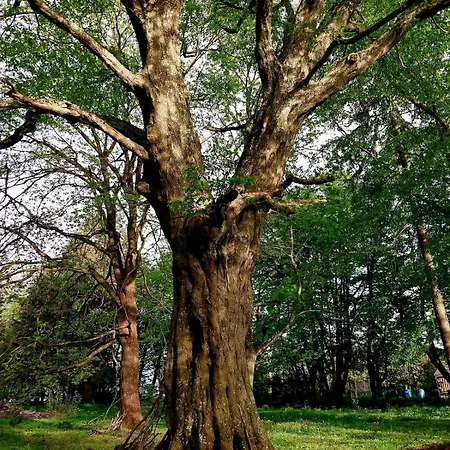 Apartment Neu Pfarrhof In Ostseenähe