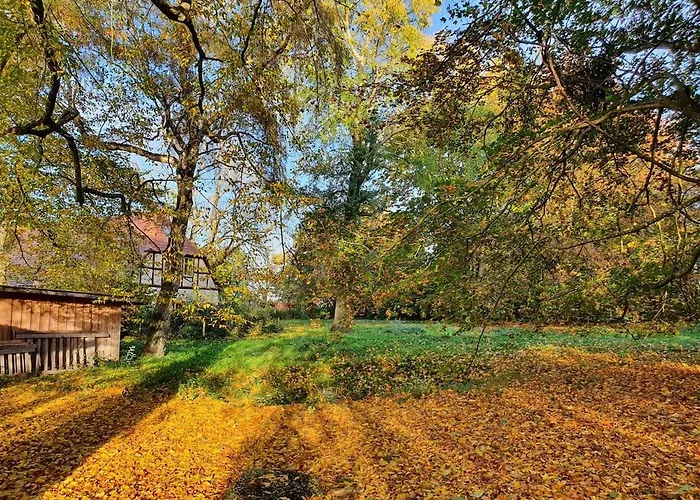 Neu Pfarrhof In Ostseenaehe Drechow