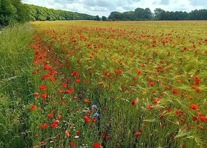 Neu Pfarrhof In Ostseenaehe