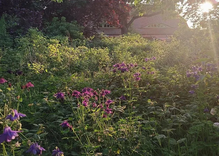 Appartement Neu Pfarrhof In Ostseenaehe *